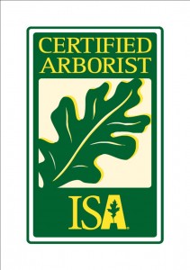 isa-certified-arborist-tree-trimming-experts.miami-broward-palm-beach-licenced-tree-trimming-contractors